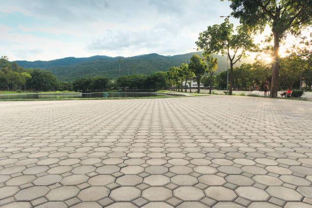 Best Residential Driveway Paver Services  in Grandview Plaza, KS